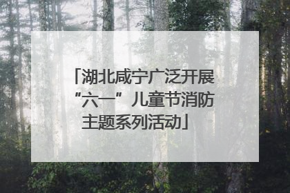 湖北咸宁广泛开展“六一”儿童节消防主题系列活动