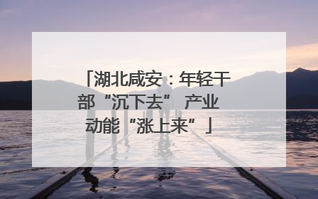 湖北咸安：年轻干部“沉下去” 产业动能“涨上来”
