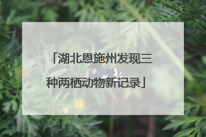 湖北恩施州发现三种两栖动物新记录