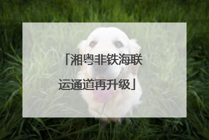湘粤非铁海联运通道再升级