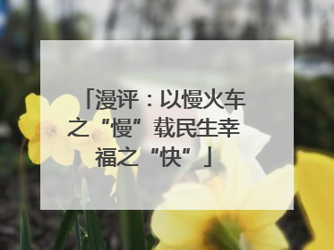 漫评：以慢火车之“慢”载民生幸福之“快”