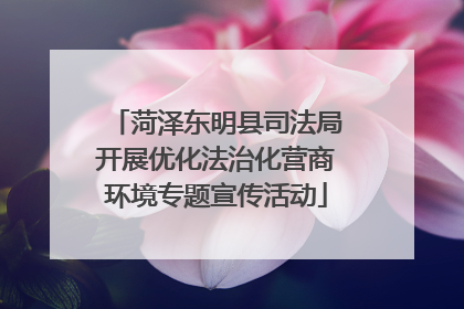 菏泽东明县司法局开展优化法治化营商环境专题宣传活动
