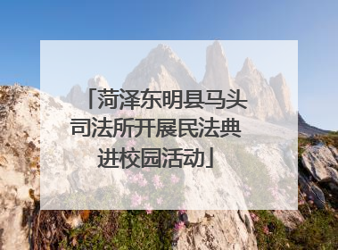 菏泽东明县马头司法所开展民法典进校园活动