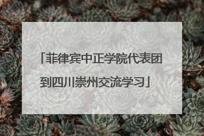 菲律宾中正学院代表团到四川崇州交流学习