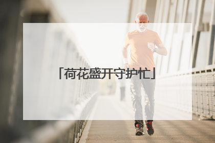 荷花盛开守护忙