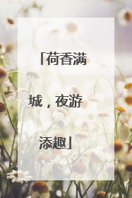 荷香满城，夜游添趣