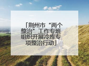 荆州市“两个整治”工作专班组织开展冷库专项整治行动