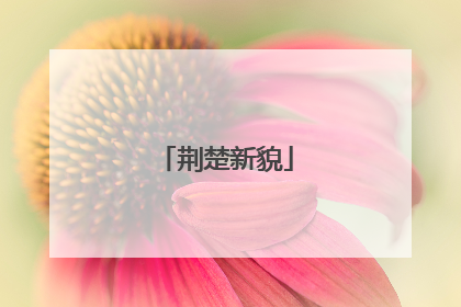 荆楚新貌