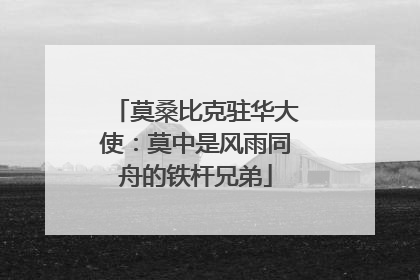 莫桑比克驻华大使：莫中是风雨同舟的铁杆兄弟