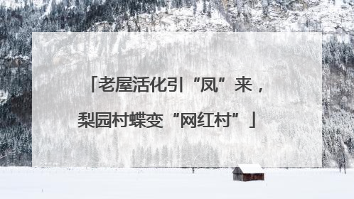 老屋活化引“凤”来，梨园村蝶变“网红村”