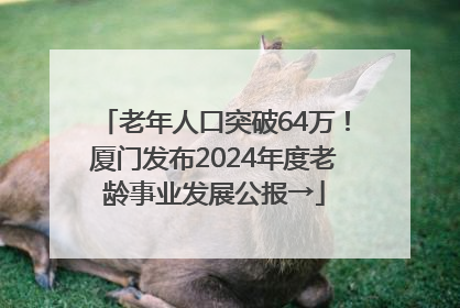 老年人口突破64万！厦门发布2024年度老龄事业发展公报→