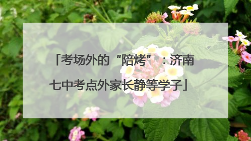 考场外的“陪烤”：济南七中考点外家长静等学子