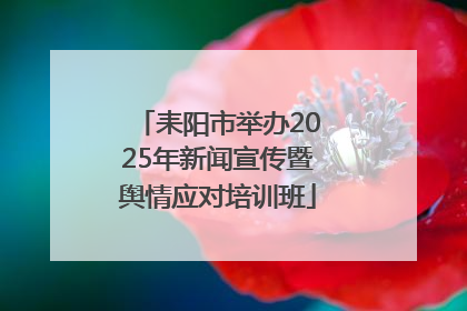 耒阳市举办2025年新闻宣传暨舆情应对培训班