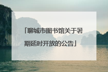 聊城市图书馆关于暑期延时开放的公告