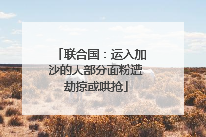 联合国：运入加沙的大部分面粉遭劫掠或哄抢