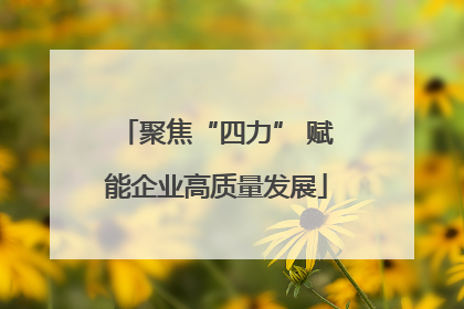 聚焦“四力” 赋能企业高质量发展