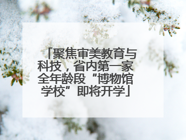 聚焦审美教育与科技，省内第一家全年龄段“博物馆学校”即将开学