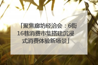 聚焦廊坊经洽会：6街16巷消费市集搭建沉浸式消费体验新场景