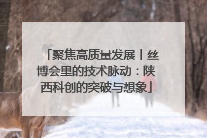 聚焦高质量发展丨丝博会里的技术脉动：陕西科创的突破与想象