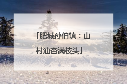 肥城孙伯镇：山村油杏满枝头