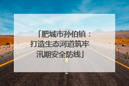 肥城市孙伯镇：打造生态河道筑牢汛期安全防线
