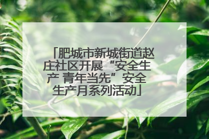 肥城市新城街道赵庄社区开展“安全生产 青年当先”安全生产月系列活动