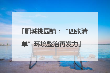 肥城桃园镇：“四张清单”环境整治再发力