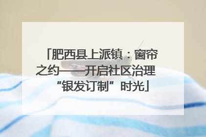 肥西县上派镇：窗帘之约——开启社区治理“银发订制”时光