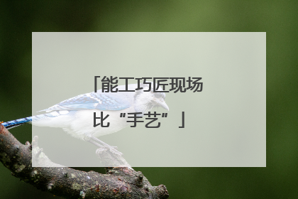 能工巧匠现场比“手艺”