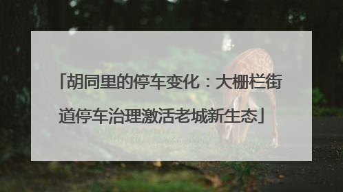 胡同里的停车变化：大栅栏街道停车治理激活老城新生态