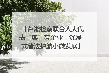 芦淞检察联合人大代表“典”亮企业，沉浸式普法护航小微发展