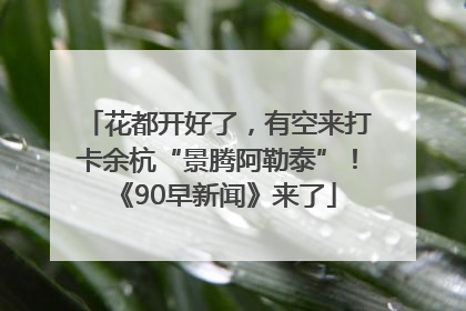花都开好了，有空来打卡余杭“景腾阿勒泰”！《90早新闻》来了