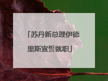 苏丹新总理伊德里斯宣誓就职