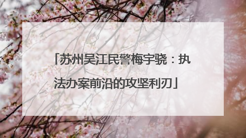 苏州吴江民警梅宇骁：执法办案前沿的攻坚利刃