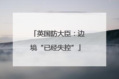 英国防大臣：边境“已经失控”
