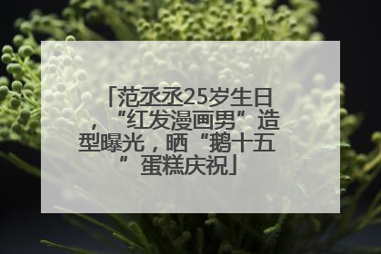 范丞丞25岁生日，“红发漫画男”造型曝光，晒“鹅十五”蛋糕庆祝