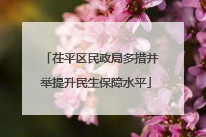 茌平区民政局多措并举提升民生保障水平