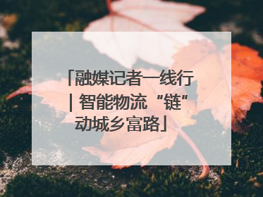 融媒记者一线行｜智能物流“链”动城乡富路