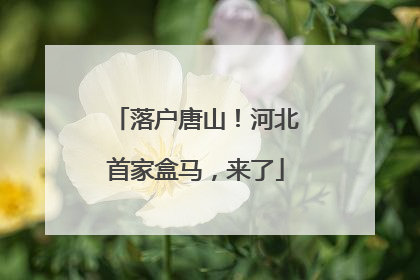 落户唐山！河北首家盒马，来了
