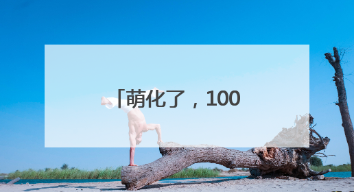 萌化了，100只狗狗海上肖像摄影展6月中旬“黄海明珠”开放