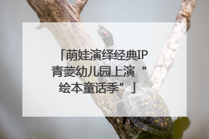 萌娃演绎经典IP 青菱幼儿园上演“绘本童话季”
