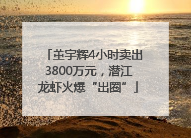 董宇辉4小时卖出3800万元，潜江龙虾火爆“出圈”