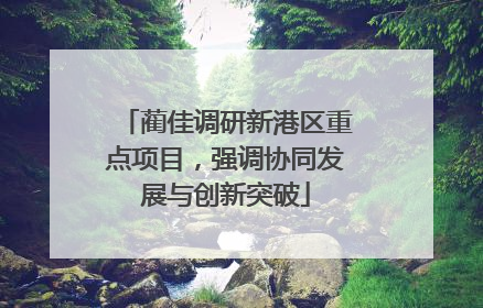 蔺佳调研新港区重点项目，强调协同发展与创新突破