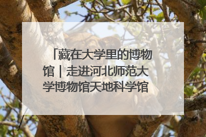 藏在大学里的博物馆｜走进河北师范大学博物馆天地科学馆：在校园里赴一场“宇宙之约”