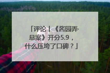 评论丨《酱园弄·悬案》开分5.9，什么压垮了口碑？