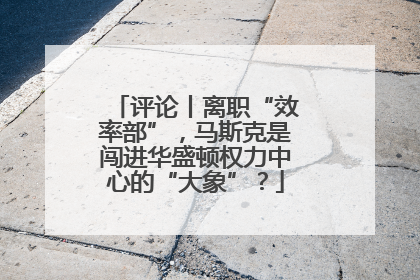评论丨离职“效率部”，马斯克是闯进华盛顿权力中心的“大象”？