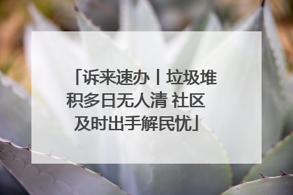 诉来速办丨垃圾堆积多日无人清 社区及时出手解民忧