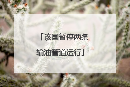 该国暂停两条输油管道运行