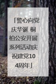 警心向党庆华诞 桐柏公安开展系列活动庆祝建党104周年