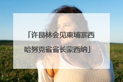 许昆林会见柬埔寨西哈努克省省长蒙西纳